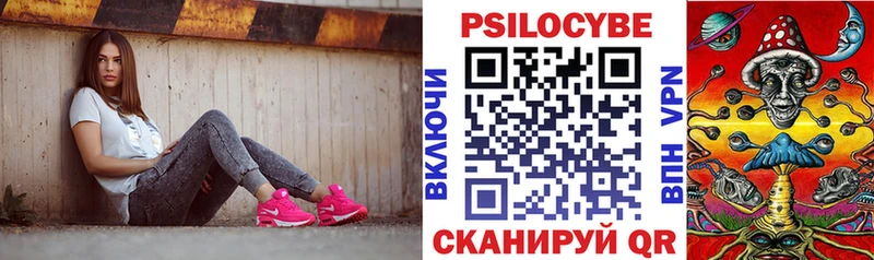 Псилоцибиновые грибы Psilocybe  Купить где  Чистополь 